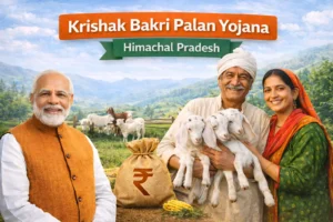krishak bakri palan yojna